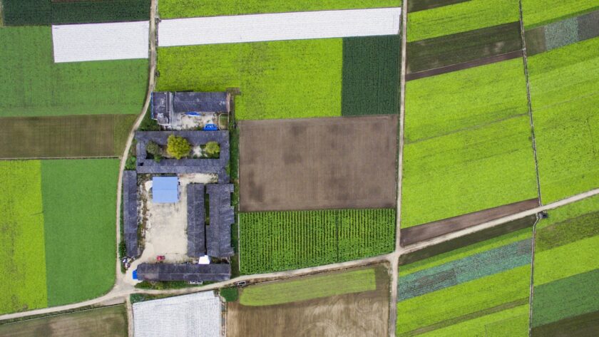 aerial photography of a village surrounded with crop field